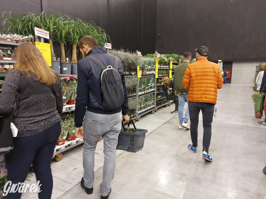 Festiwal Roślin. Wielki wybór, jakie ceny?