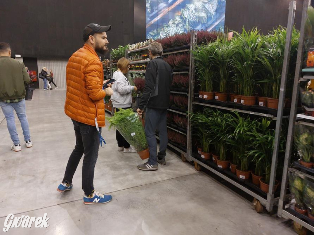 Festiwal Roślin. Wielki wybór, jakie ceny?