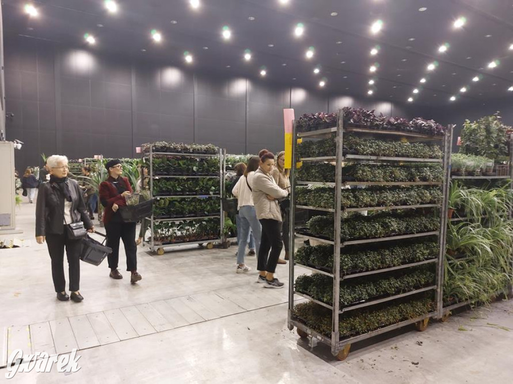 Festiwal Roślin. Wielki wybór, jakie ceny?