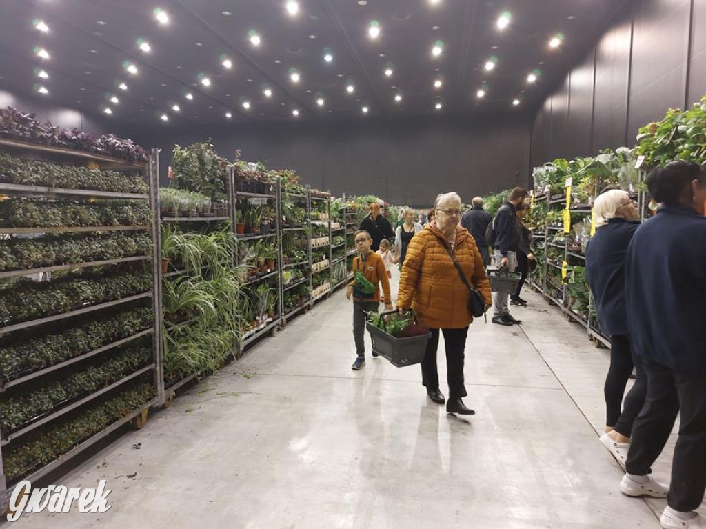 Festiwal Roślin. Wielki wybór, jakie ceny?