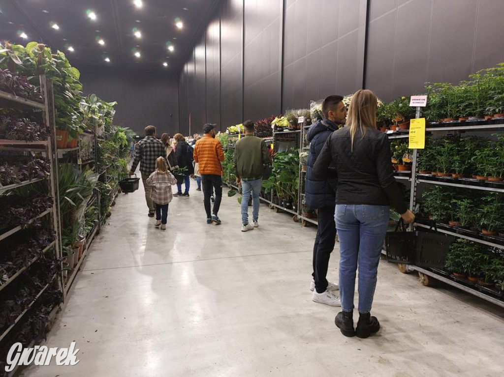 Festiwal Roślin. Wielki wybór, jakie ceny?