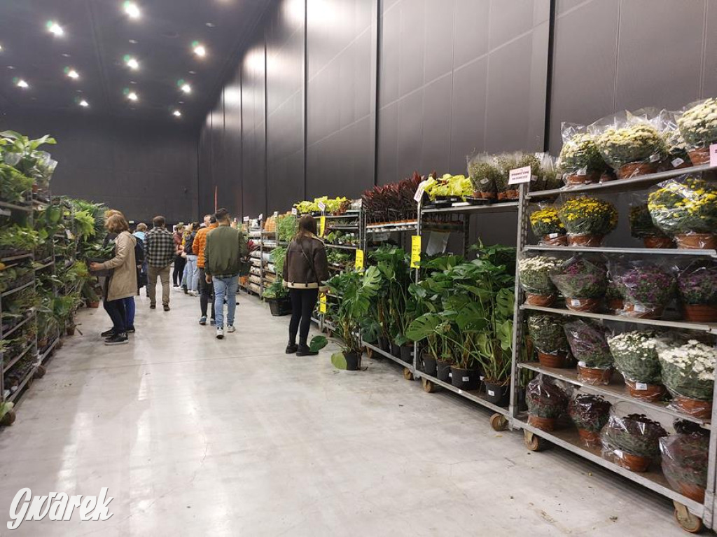 Festiwal Roślin. Wielki wybór, jakie ceny?