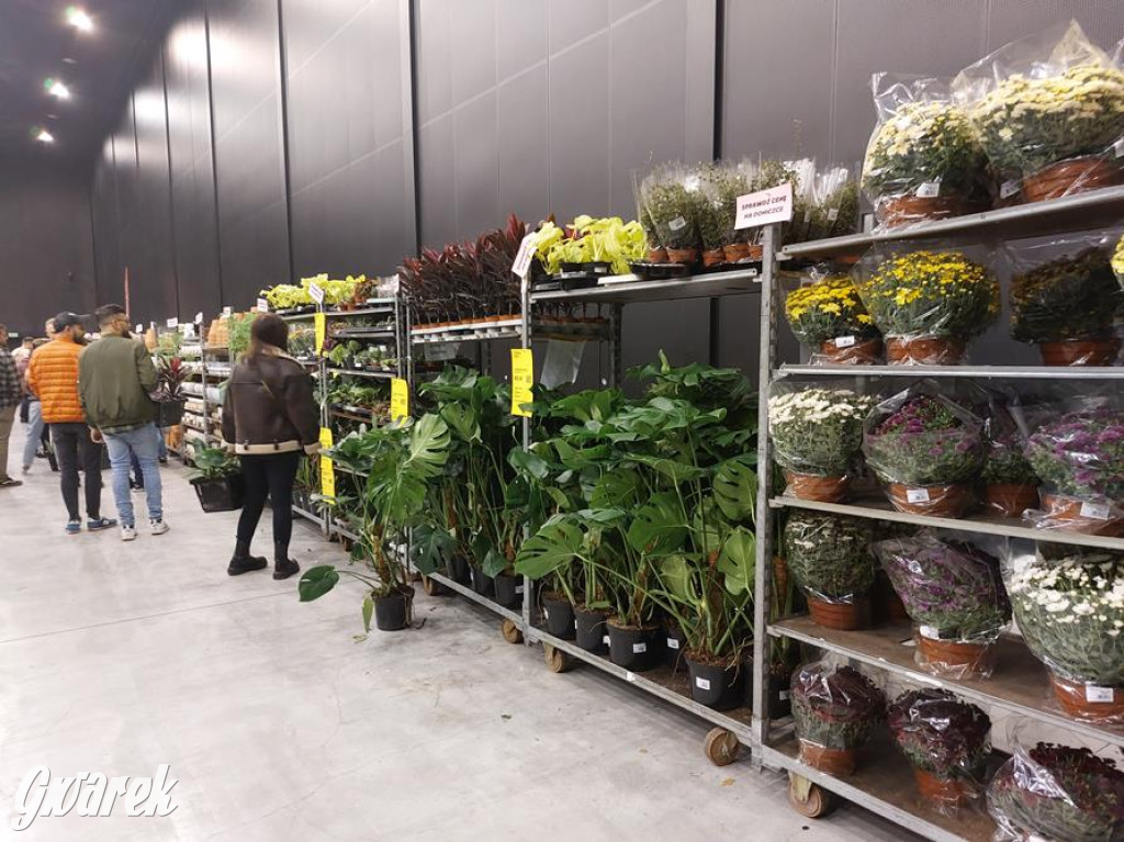 Festiwal Roślin. Wielki wybór, jakie ceny?