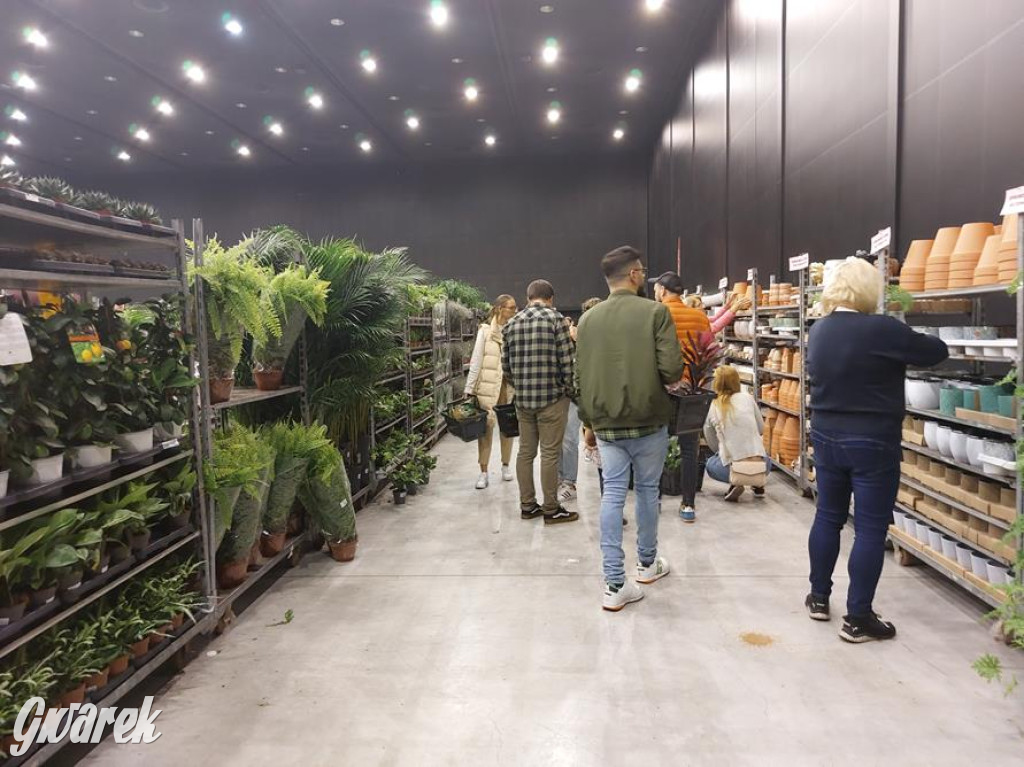Festiwal Roślin. Wielki wybór, jakie ceny?