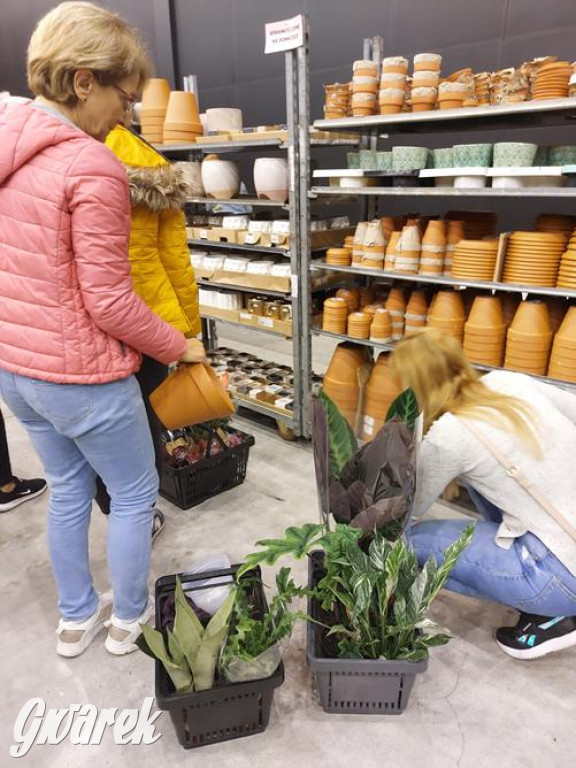 Festiwal Roślin. Wielki wybór, jakie ceny?