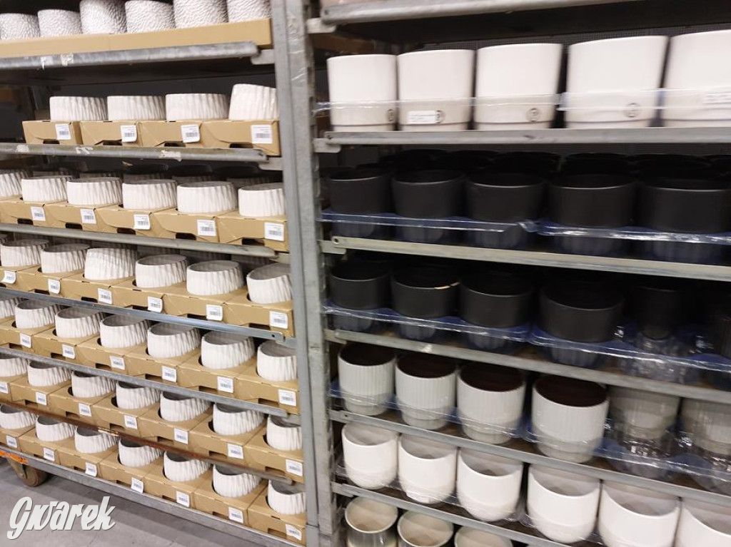 Festiwal Roślin. Wielki wybór, jakie ceny?