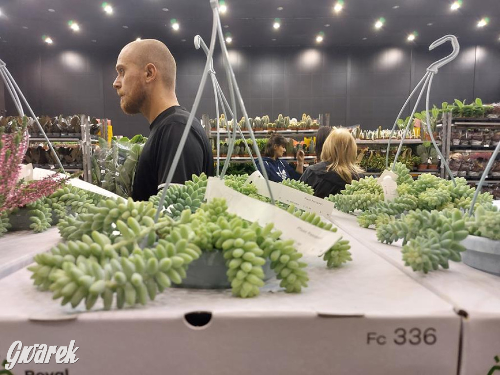 Festiwal Roślin. Wielki wybór, jakie ceny?