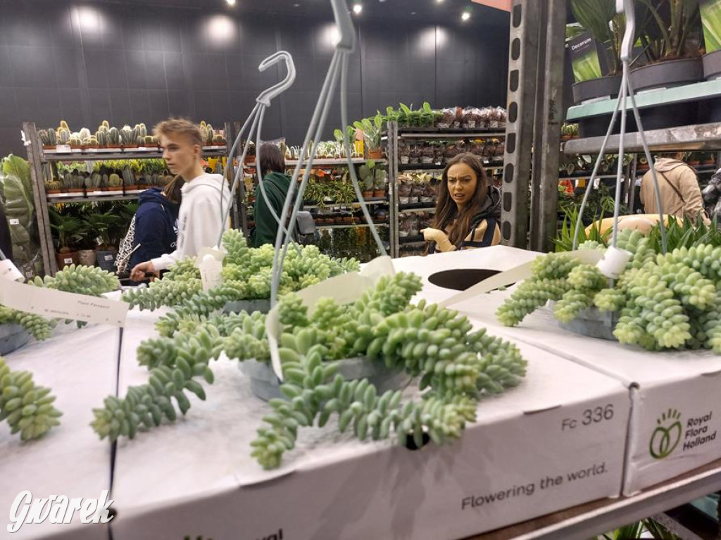 Festiwal Roślin. Wielki wybór, jakie ceny?