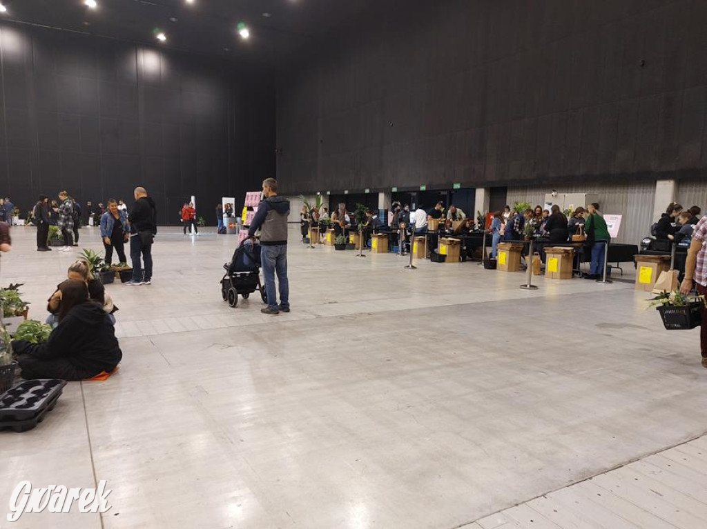 Festiwal Roślin. Wielki wybór, jakie ceny?