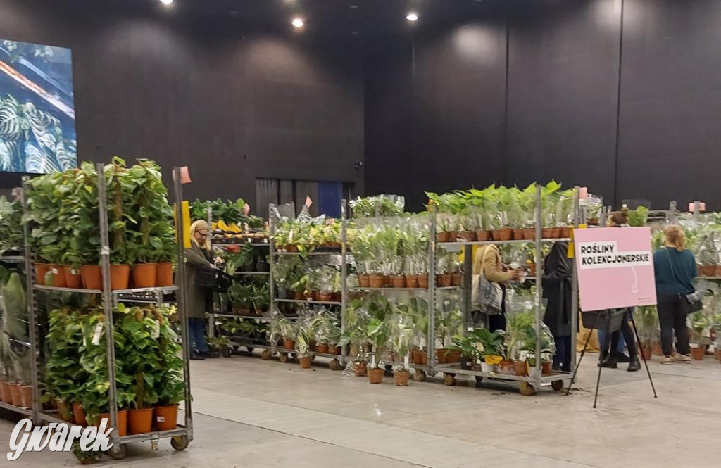 Festiwal Roślin. Wielki wybór, jakie ceny?