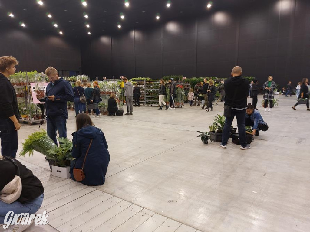 Festiwal Roślin. Wielki wybór, jakie ceny?