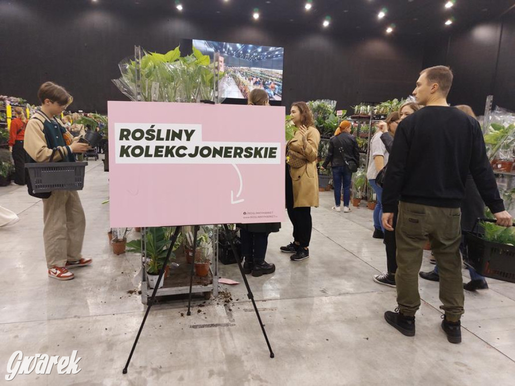 Festiwal Roślin. Wielki wybór, jakie ceny?