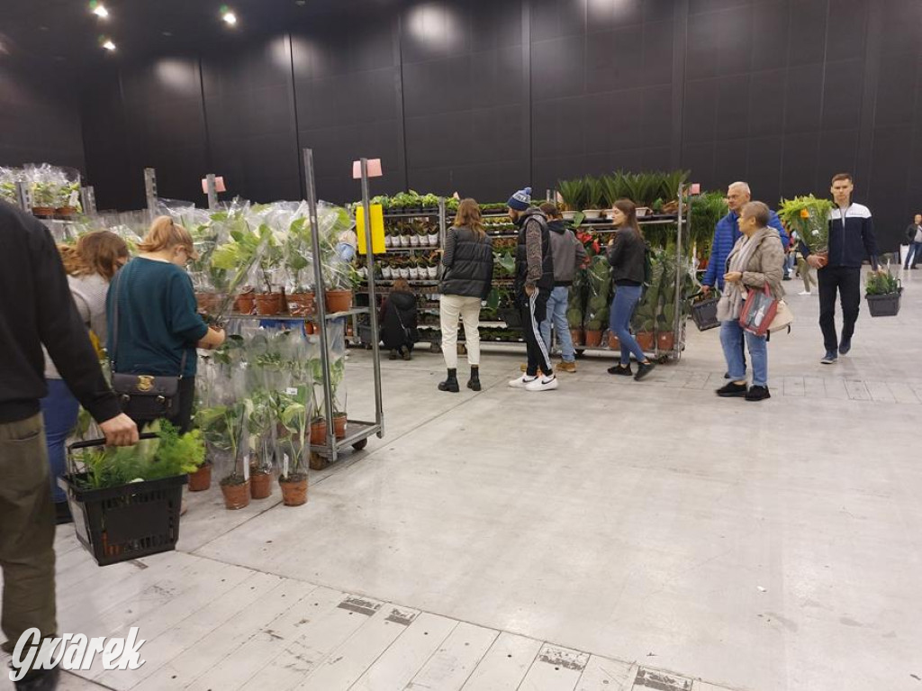 Festiwal Roślin. Wielki wybór, jakie ceny?