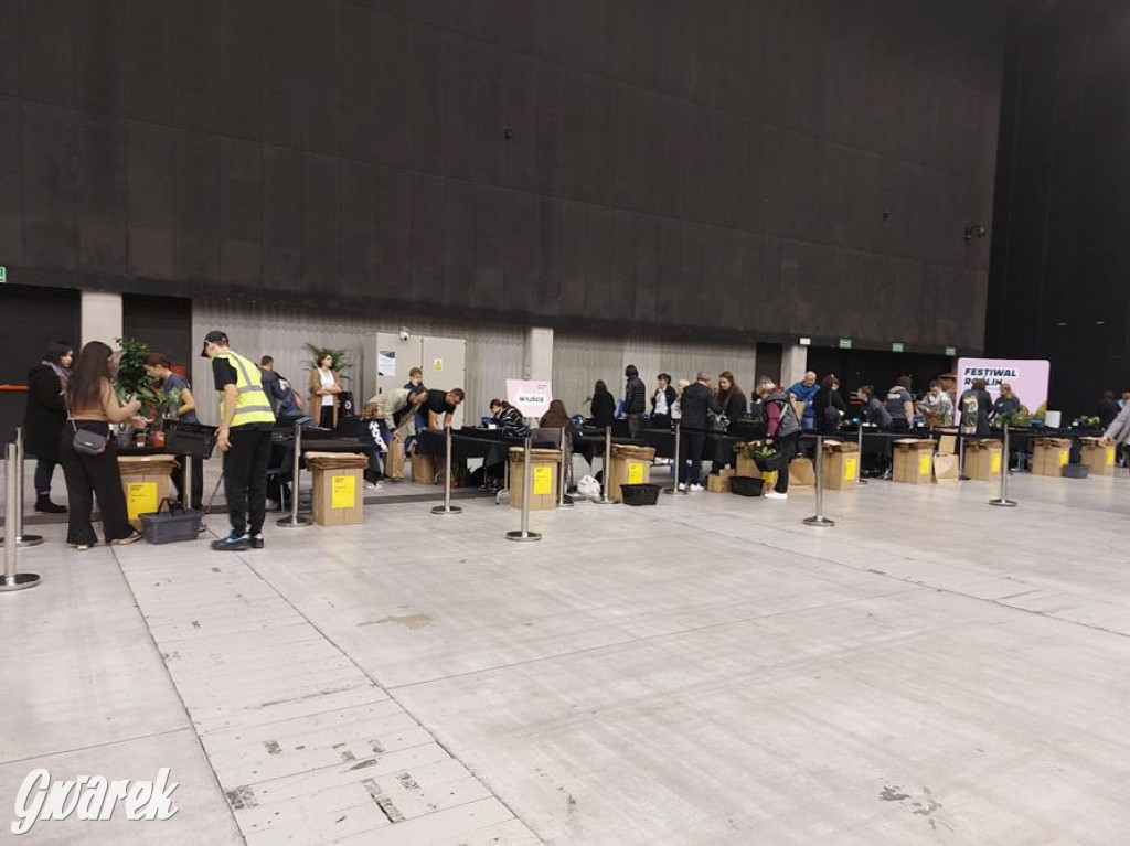 Festiwal Roślin. Wielki wybór, jakie ceny?