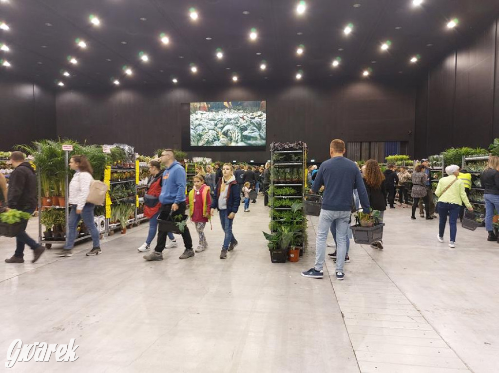 Festiwal Roślin. Wielki wybór, jakie ceny?