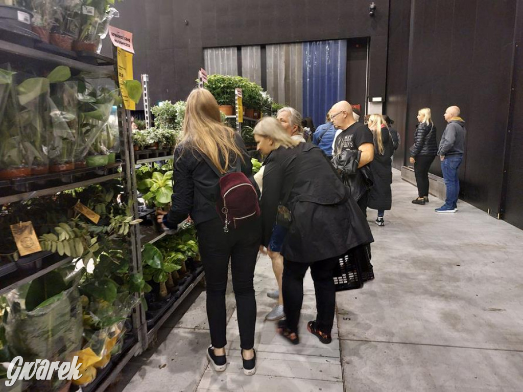 Festiwal Roślin. Wielki wybór, jakie ceny?