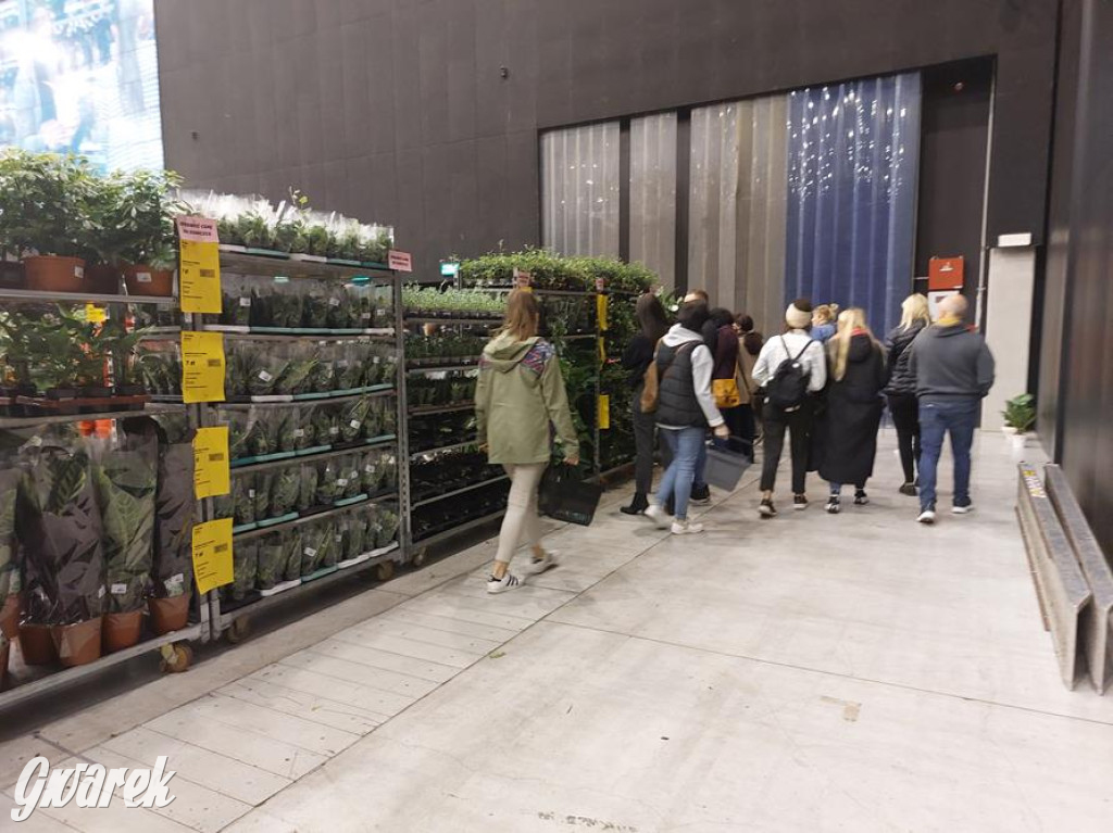 Festiwal Roślin. Wielki wybór, jakie ceny?