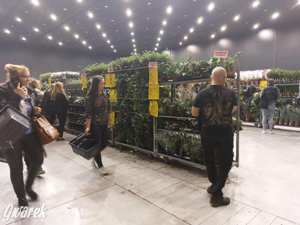 Festiwal Roślin. Wielki wybór, jakie ceny?