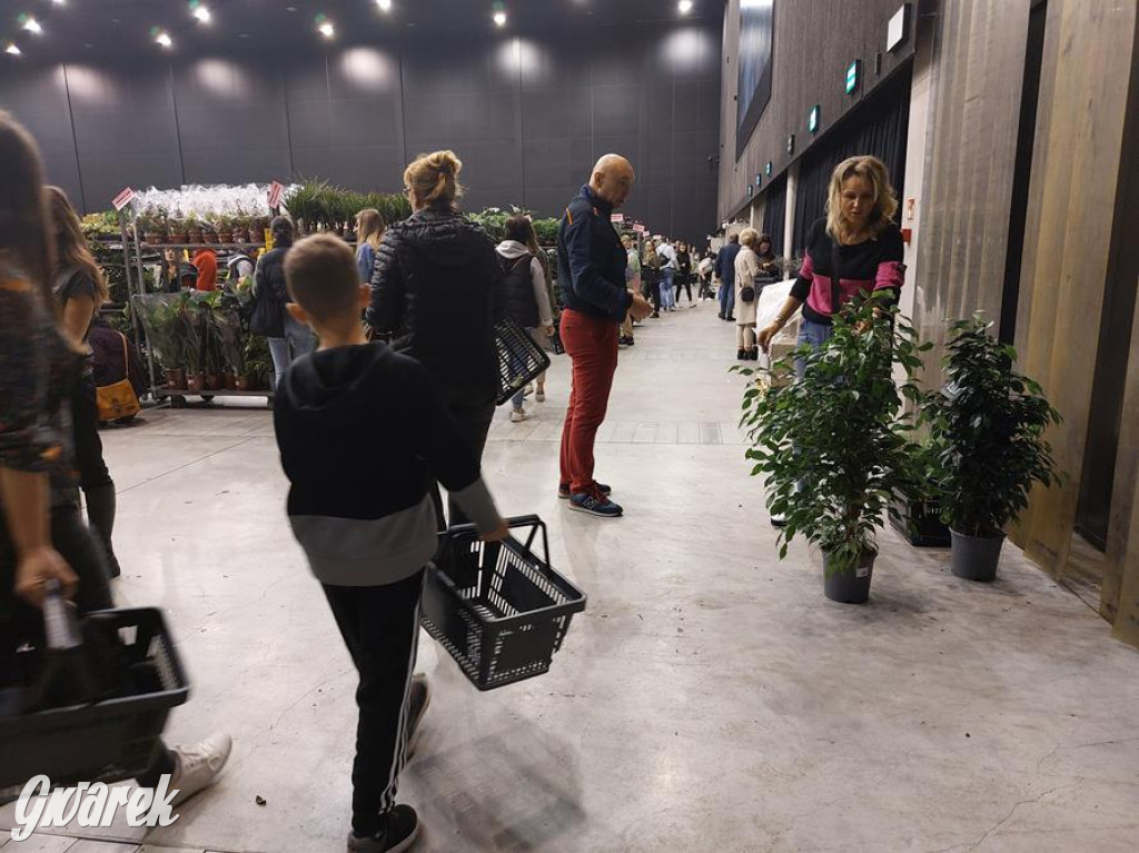 Festiwal Roślin. Wielki wybór, jakie ceny?