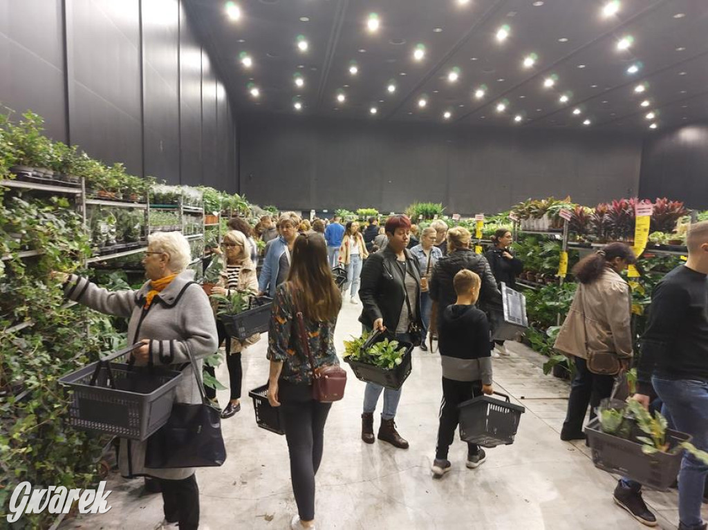 Festiwal Roślin. Wielki wybór, jakie ceny?