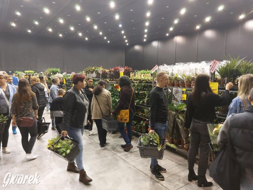 Festiwal Roślin. Wielki wybór, jakie ceny?