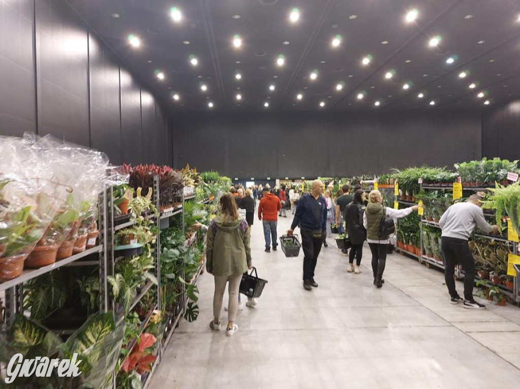 Festiwal Roślin. Wielki wybór, jakie ceny?