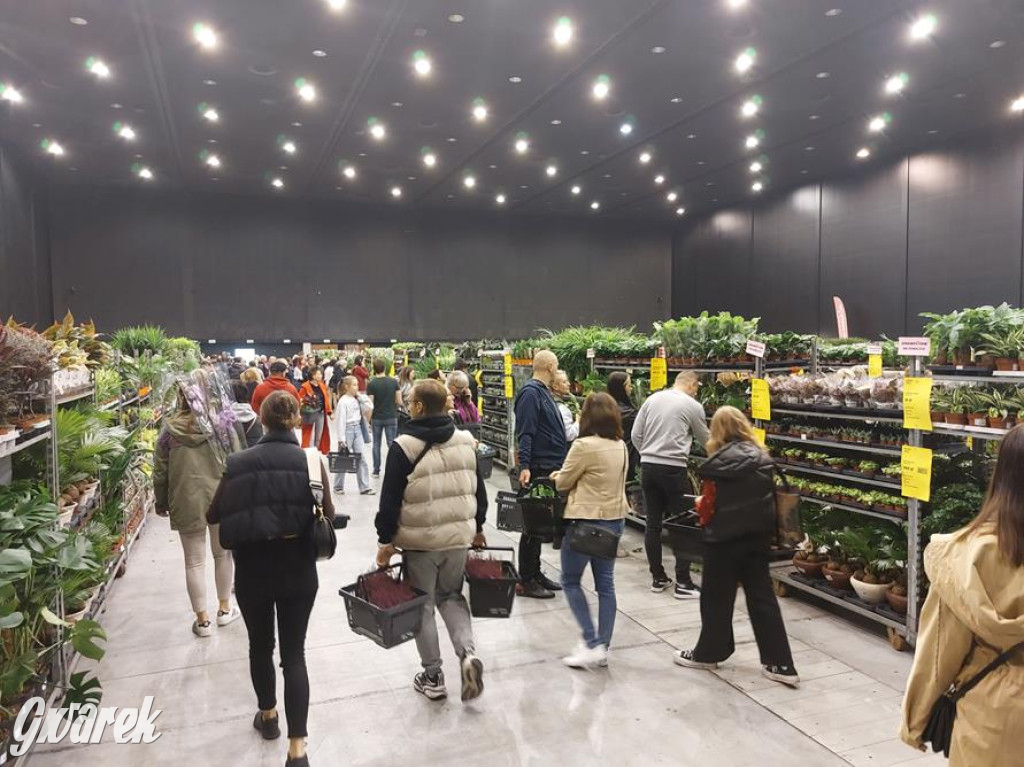 Festiwal Roślin. Wielki wybór, jakie ceny?