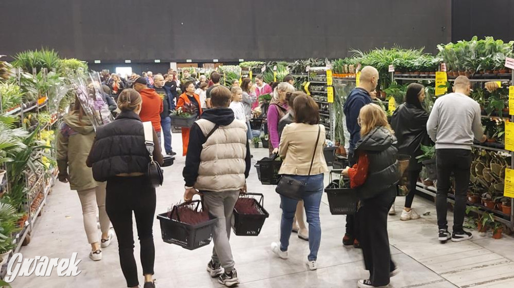 Festiwal Roślin. Wielki wybór, jakie ceny?