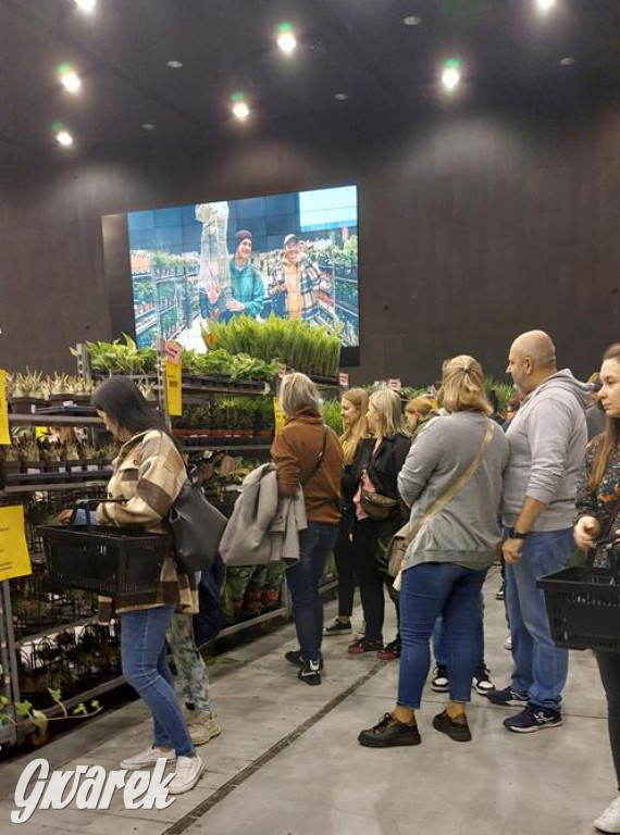 Festiwal Roślin. Wielki wybór, jakie ceny?