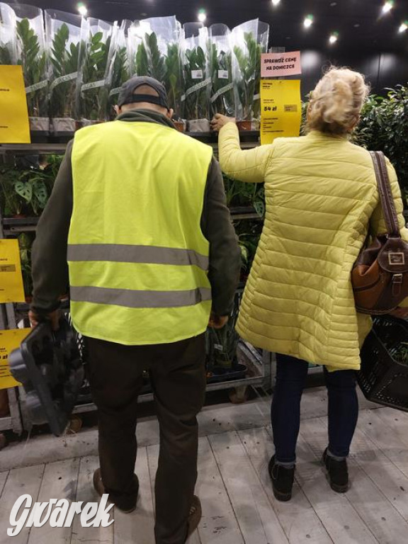 Festiwal Roślin. Wielki wybór, jakie ceny?