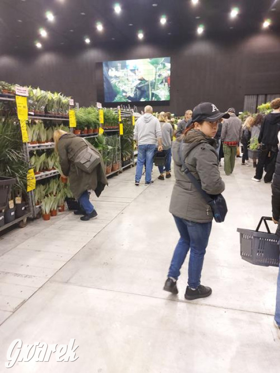 Festiwal Roślin. Wielki wybór, jakie ceny?