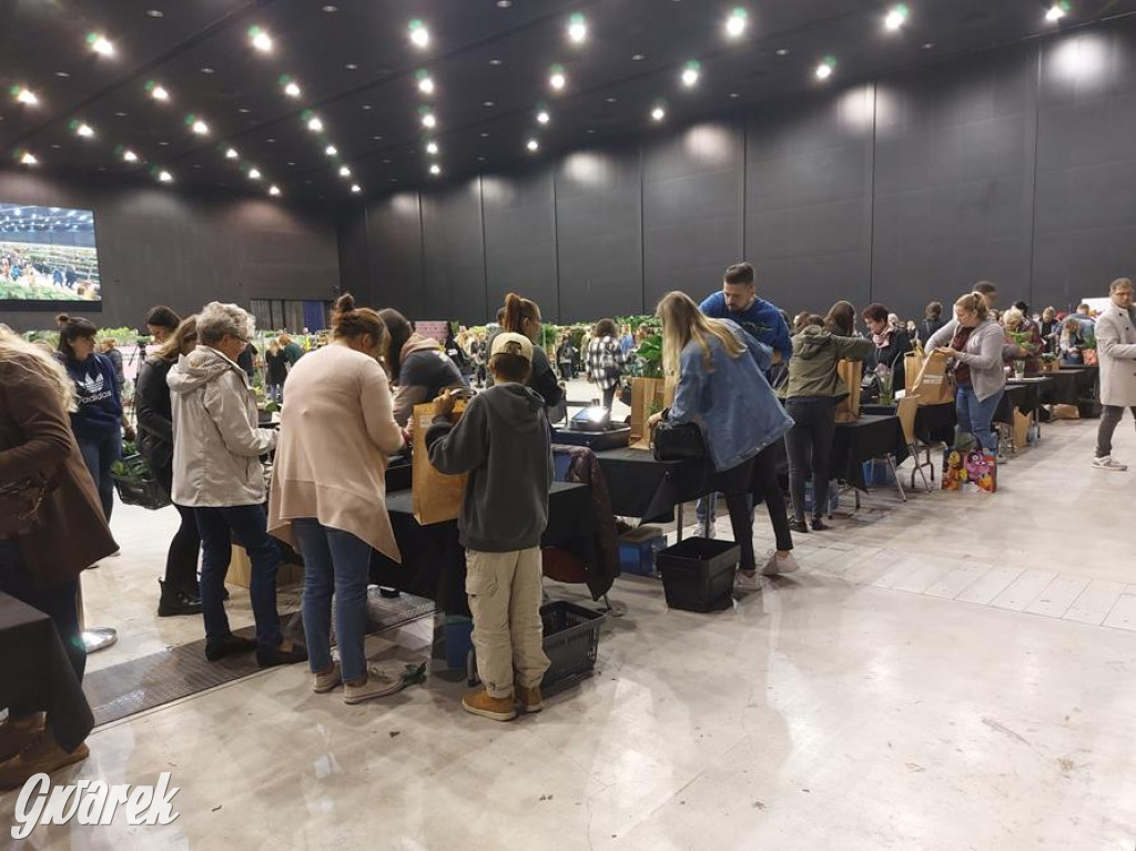 Festiwal Roślin. Wielki wybór, jakie ceny?
