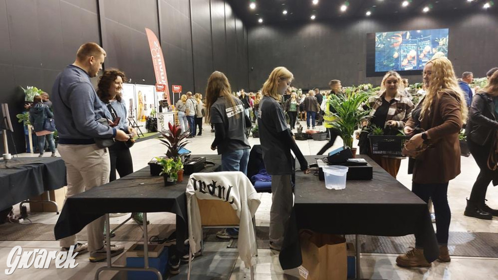 Festiwal Roślin. Wielki wybór, jakie ceny?