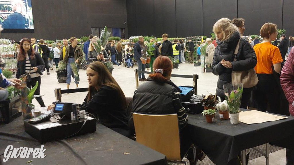 Festiwal Roślin. Wielki wybór, jakie ceny?
