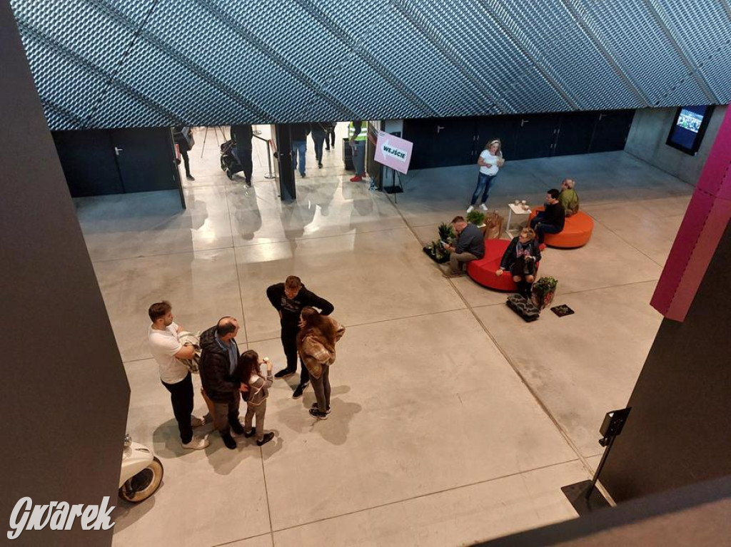 Festiwal Roślin. Wielki wybór, jakie ceny?