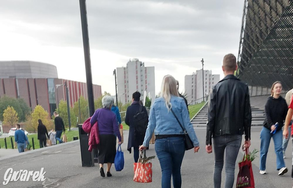 Festiwal Roślin. Wielki wybór, jakie ceny?