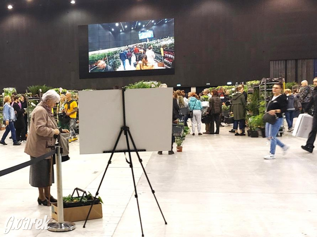 Festiwal Roślin. Wielki wybór, jakie ceny?