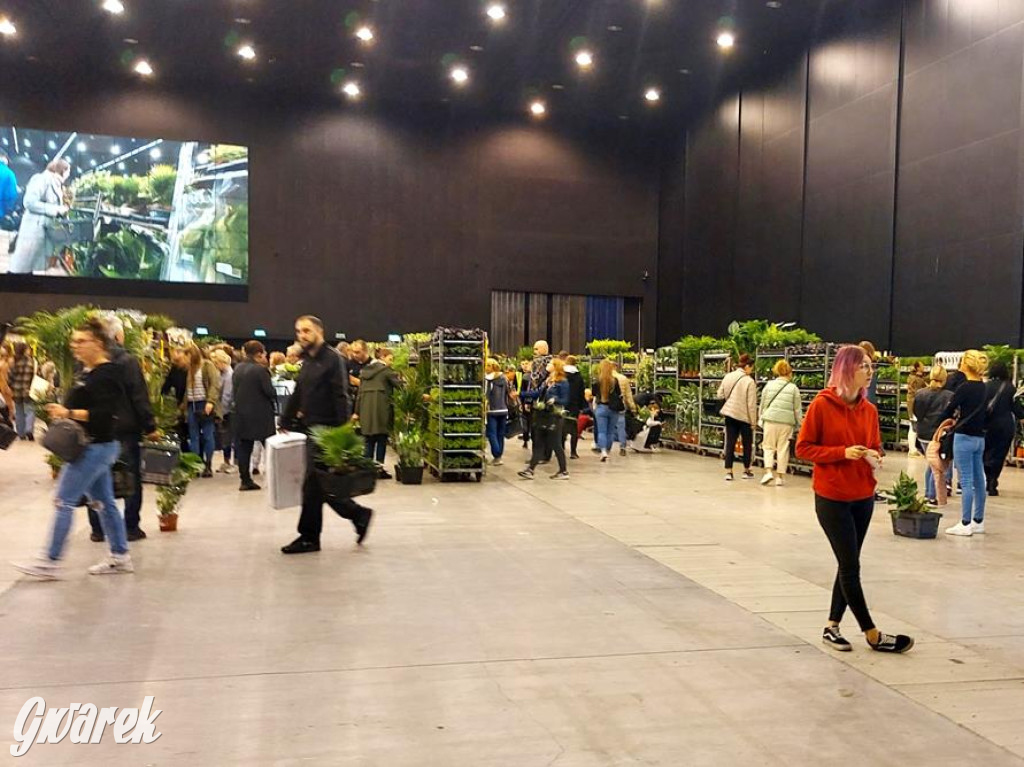 Festiwal Roślin. Wielki wybór, jakie ceny?