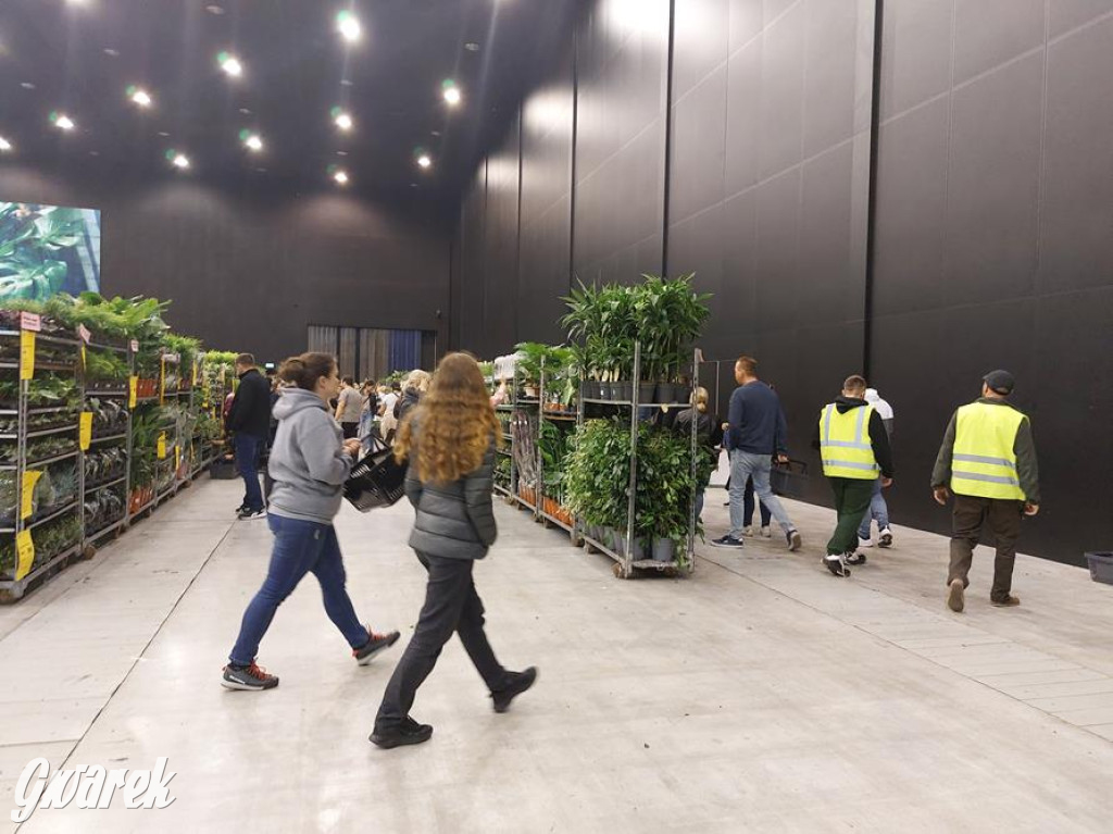 Festiwal Roślin. Wielki wybór, jakie ceny?