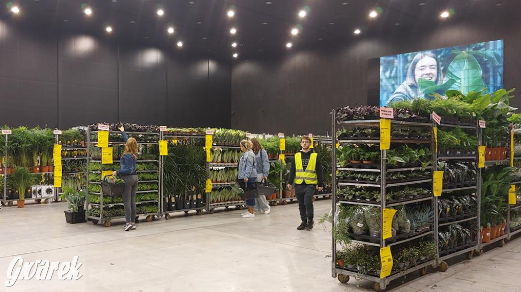 Festiwal Roślin. Wielki wybór, jakie ceny?