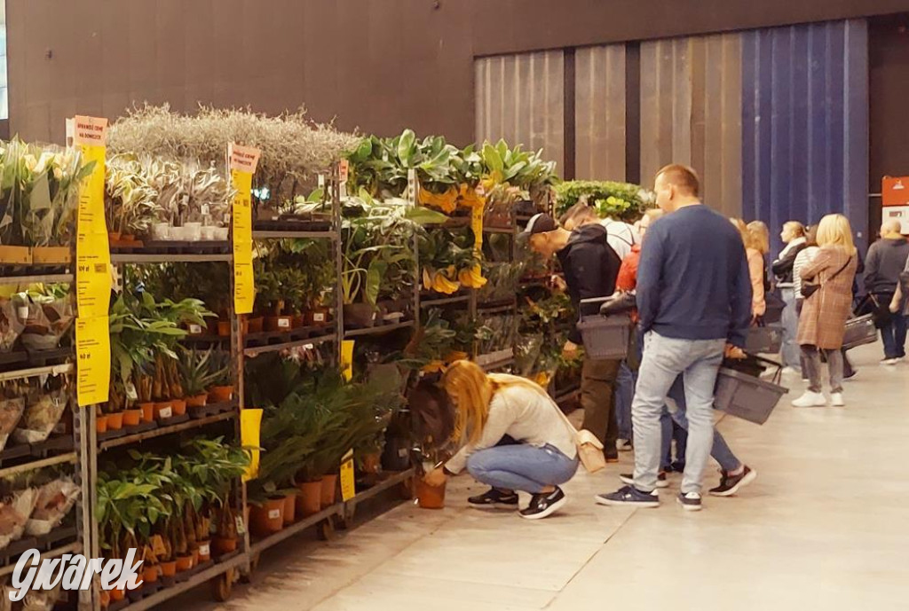 Festiwal Roślin. Wielki wybór, jakie ceny?