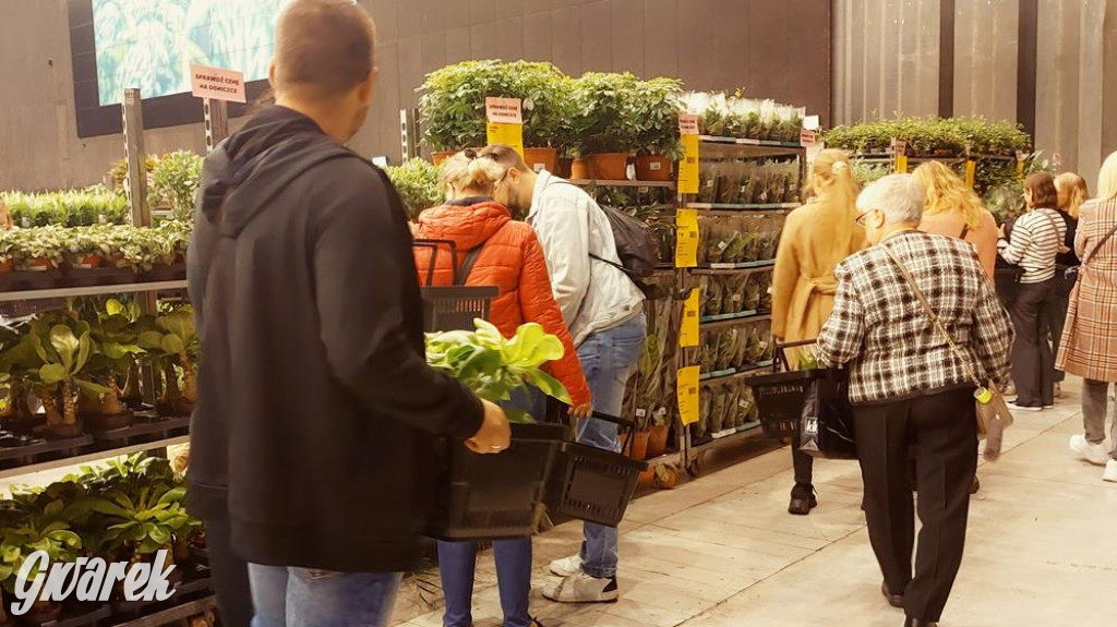 Festiwal Roślin. Wielki wybór, jakie ceny?