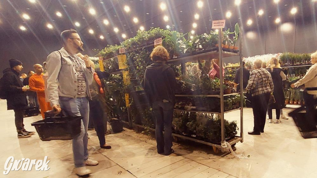 Festiwal Roślin. Wielki wybór, jakie ceny?