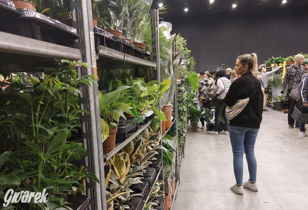 Festiwal Roślin. Wielki wybór, jakie ceny?