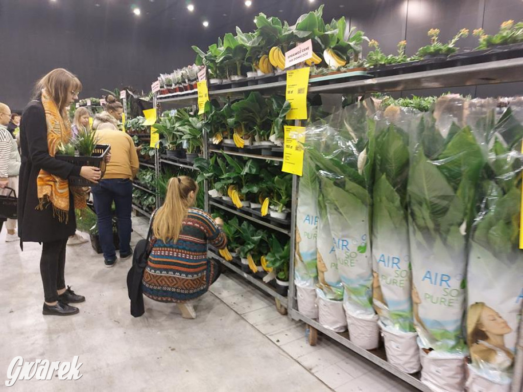 Festiwal Roślin. Wielki wybór, jakie ceny?