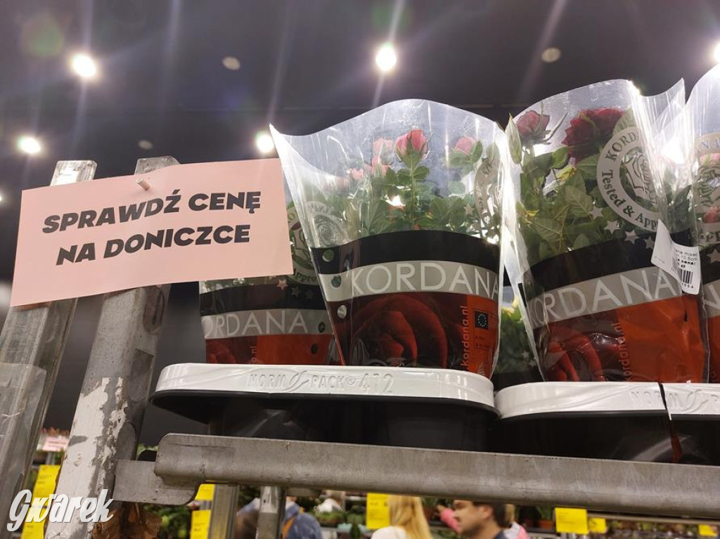 Festiwal Roślin. Wielki wybór, jakie ceny?