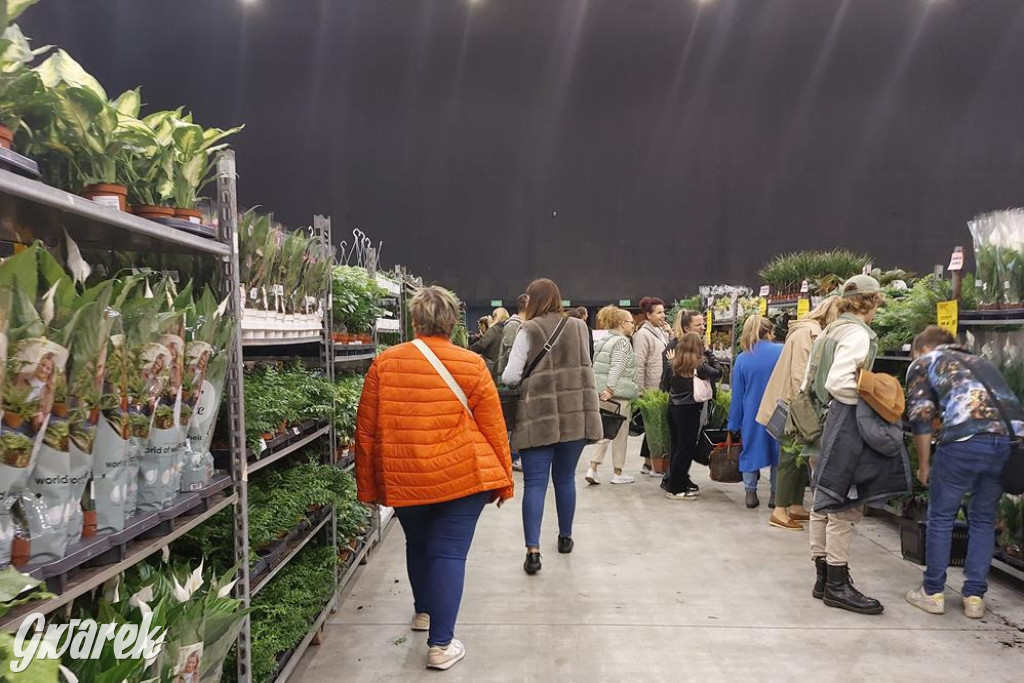 Festiwal Roślin. Wielki wybór, jakie ceny?