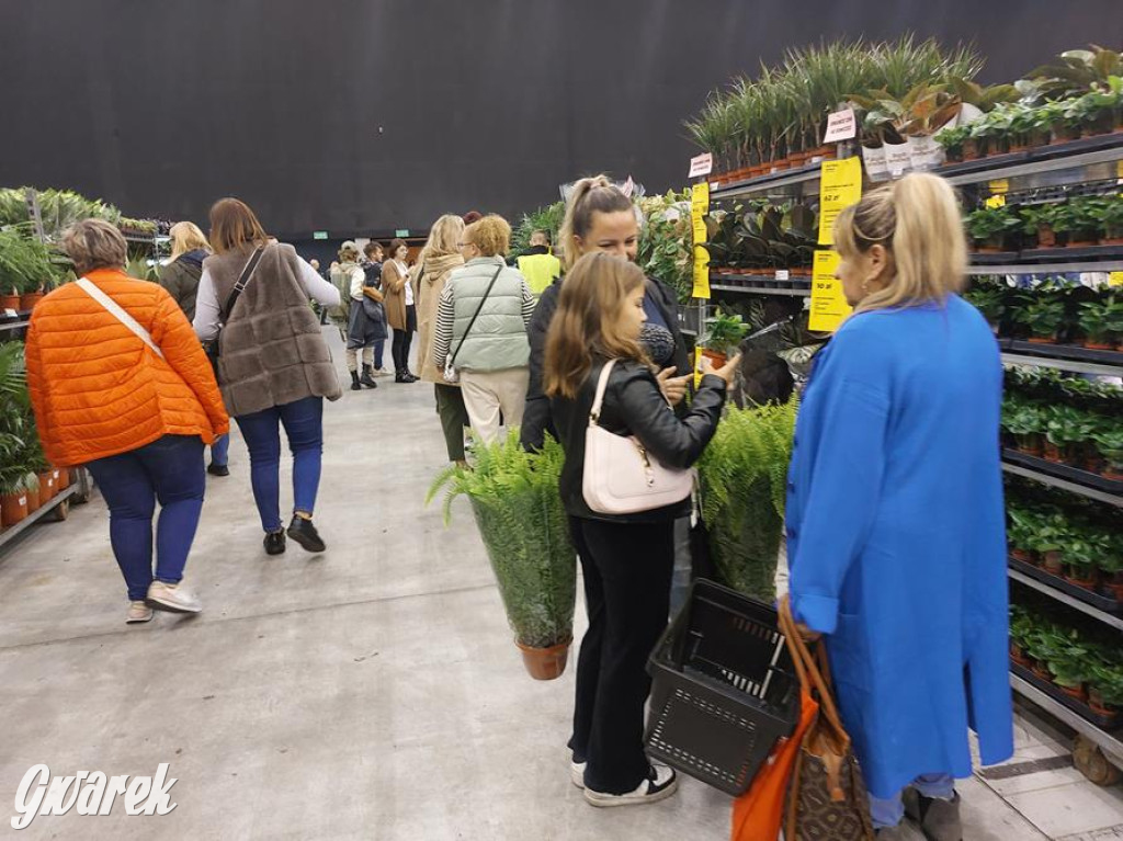 Festiwal Roślin. Wielki wybór, jakie ceny?