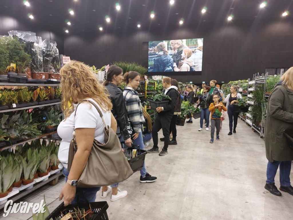Festiwal Roślin. Wielki wybór, jakie ceny?