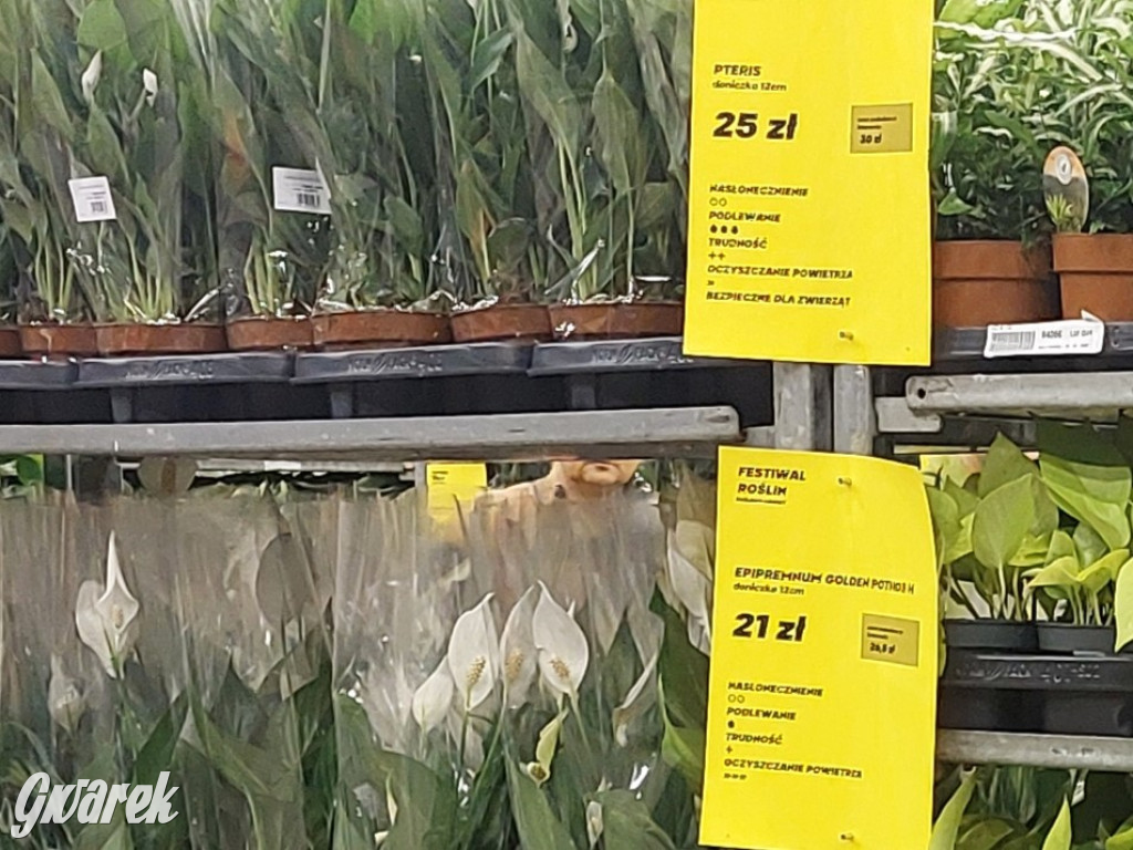 Festiwal Roślin. Wielki wybór, jakie ceny?